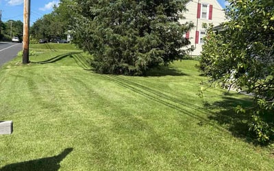 Photo of Judy K.'s yard after getting lawn care in Guthrie, OK
