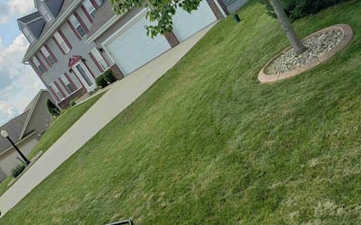 Photo of Diana M.'s yard after getting lawn care in Burlington, WI