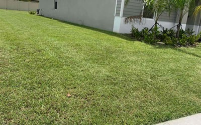 Photo of Marisa G.'s yard after getting lawn care in Sanger, TX