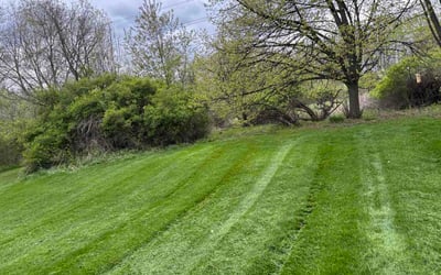 Photo of Chase T.'s yard after getting lawn care in Lowell, MA