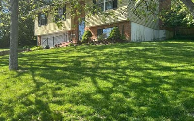 Photo of Beverly S.'s yard after getting lawn care in Newport, KY