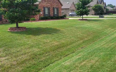 Photo of Sabrina N.'s yard after getting lawn care in Wylie, TX