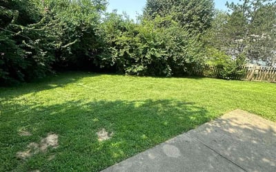 Photo of Brenda C.'s yard after getting lawn care in O'Fallon, IL