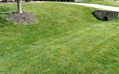 Photo of Samia A.'s yard after getting lawn care in Winchester, MA