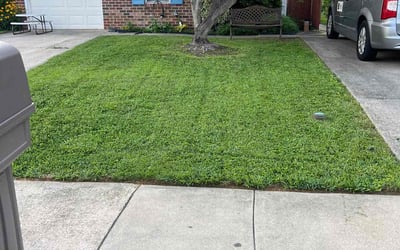 Photo of Jim M.'s yard after getting lawn care in Ballston Spa, NY