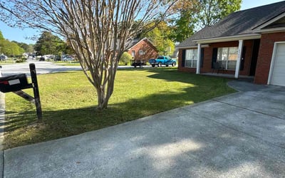 Photo of Virgil A.'s yard after getting lawn care in Dewitt, MI