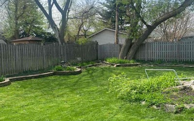 Photo of Art A.'s yard after getting lawn care in Westmont, IL