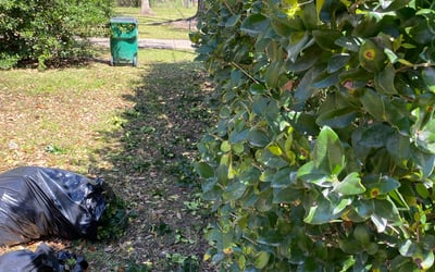 Photo of Sonya S.'s yard after getting tree care in New Albany, IN