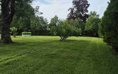 Photo of Marcus B.'s yard after getting lawn care in Vandalia, OH