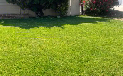 Photo of Ruby M.'s yard after getting lawn care in Sherman Oaks, CA