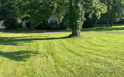Photo of John M.'s yard after getting lawn care in Seville, OH