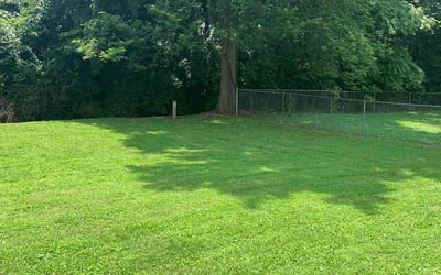 Photo of Megan B.'s yard after getting lawn care in Waxahachie, TX