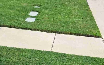 Photo of Carlyn H.'s yard after getting lawn care in Sanger, TX