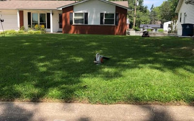 Photo of Kara E.'s yard after getting lawn care in Stanley, NC