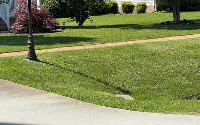 Photo of Dorothy S.'s yard after getting lawn care in Gloucester, VA
