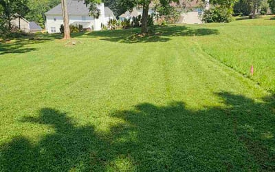 Photo of Debra B.'s yard after getting lawn care in New Port Richey, FL