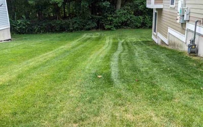 Photo of John A.'s yard after getting lawn care in Andover, MA