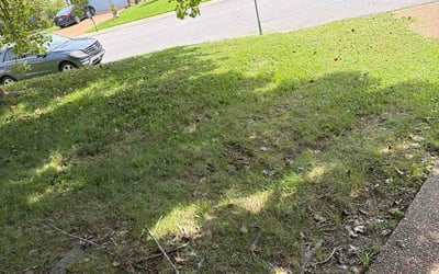 Photo of Valerie P.'s yard after getting lawn care in Lowell, IN