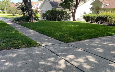 Photo of Isham L.'s yard after getting lawn care in New Rochelle, NY