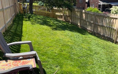 Photo of Megan M.'s yard after getting lawn care in Connellsville, PA