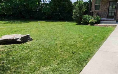 Photo of Charles D.'s yard after getting lawn care in Springfield, TN