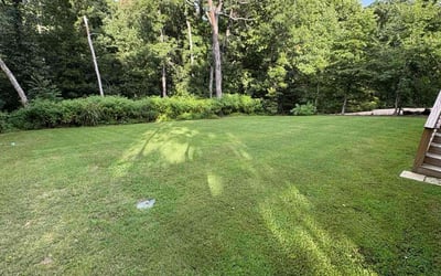 Photo of Keith S.'s yard after getting lawn care in Pasco, WA