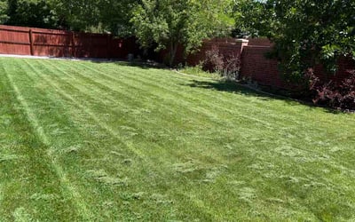 Photo of Teshie H.'s yard after getting lawn care in East Cleveland, OH