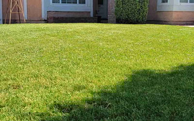 Photo of Robert M.'s yard after getting lawn care in Barstow, CA