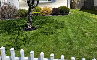 Photo of William S.'s yard after getting lawn care in Tolland, CT