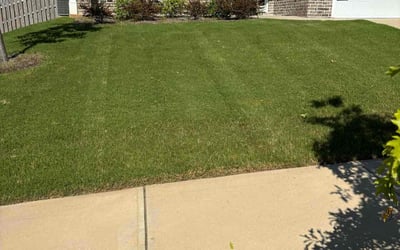 Photo of Amy W.'s yard after getting lawn care in Evans, GA