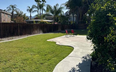 Photo of Patrick O.'s yard after getting lawn care in Thermal, CA