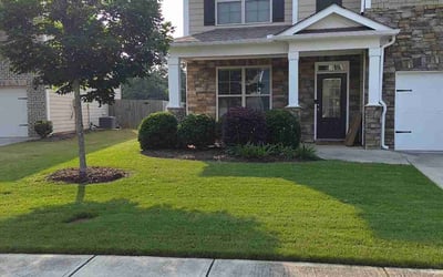 Photo of Nyssa L.'s yard after getting lawn care in New Orleans, LA