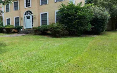 Photo of Shane S.'s yard after getting lawn care in Hartselle, AL