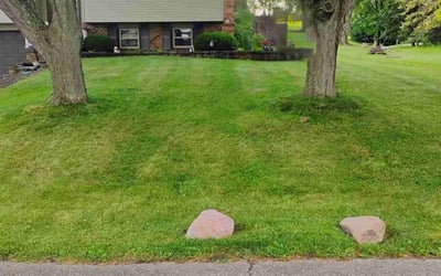 Photo of Rachael P.'s yard after getting lawn care in Vernon Rockville, CT