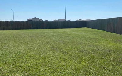 Photo of Debbie C.'s yard after getting lawn care in Pass Christian, MS