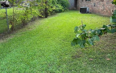 Photo of Erin H.'s yard after getting lawn care in St. Louis, MO