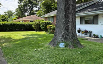 Photo of Joe J.'s yard after getting lawn care in Romeoville, IL