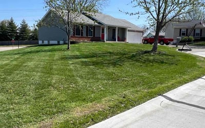 Photo of Frances J.'s yard after getting lawn care in Highland, IL
