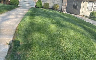 Photo of Lisa H.'s yard after getting lawn care in Platte City, MO