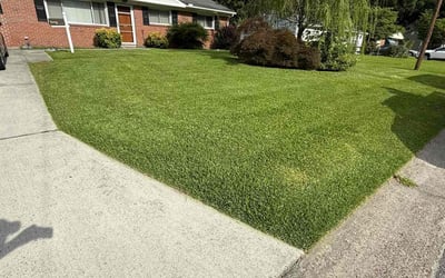 Photo of Kendra B.'s yard after getting lawn care in Helotes, TX