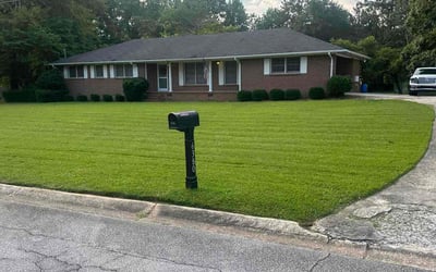 Photo of Kim G.'s yard after getting lawn care in New Smyrna Beach, FL