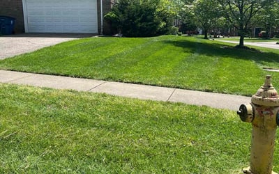 Photo of Sharon M.'s yard after getting lawn care in Mount Washington, KY