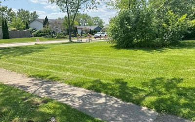 Photo of Kinine K.'s yard after getting lawn care in Hanover Park, IL