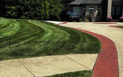 Photo of Melissa M.'s yard after getting lawn care in Tonawanda, NY