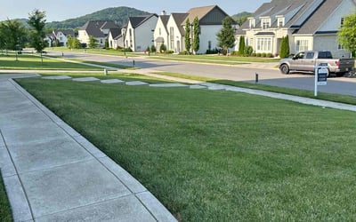 Photo of Dragomir Z.'s yard after getting lawn care in Plainfield, IL