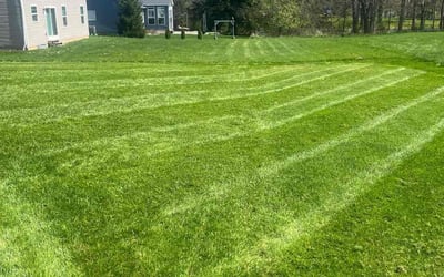 Photo of Chase T.'s yard after getting lawn care in Alliance, OH