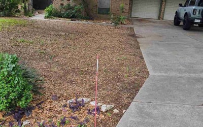 Photo of Ashley O.'s yard after getting lawn care in San Antonio, TX