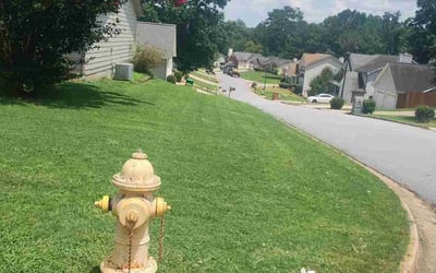 Photo of Charles L.'s yard after getting lawn care in Hampton, GA
