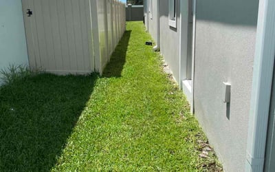 Photo of Chris J.'s yard after getting lawn care in Leander, TX