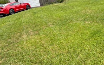 Photo of Carole E.'s yard after getting lawn care in Parkville, MD
